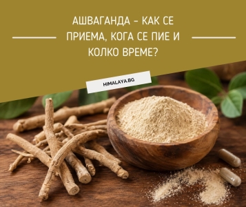 Ашваганда – как се приема, кога се пие и колко време?