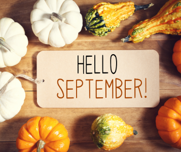 September: A Fresh Start for Body and Mind – Natural Tips for Health and Balance