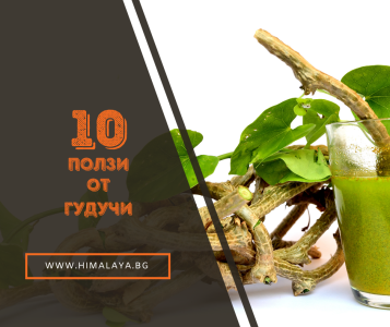 10  ПОЛЗИ ЗА ЗДРАВЕТО  ОТ  ГУДУЧИ(TINOSPORA CORDIFOLIA)