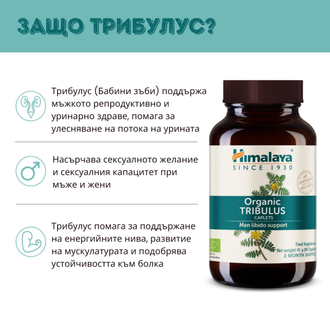 ОРГАНИК ТРИБУЛУС (Бабини зъби),  60 табл х 688 mg, ДВУМЕСЕЧЕН прием, Himalaya Wellness